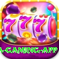 Pak Vip Game Mega Gaming App